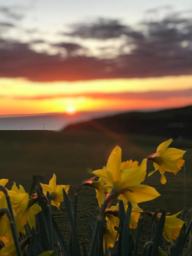 Bunnahabhain 5 - Farm Stay - Stunning Sea And Rural Views Stranraer Extérieur photo