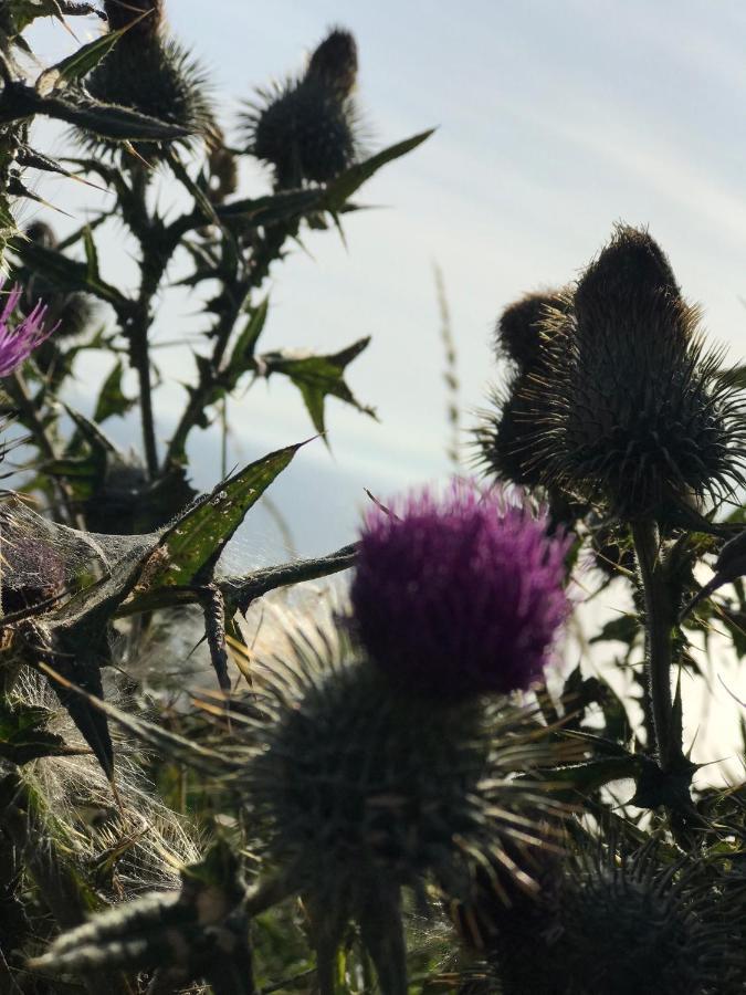 Bunnahabhain 5 - Farm Stay - Stunning Sea And Rural Views Stranraer Extérieur photo